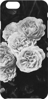 cover Monochrome Roses