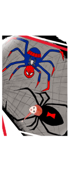 cover spiders