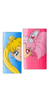 cover sailor moon 