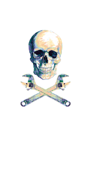 cover skull