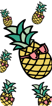 cover ananas