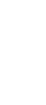 cover BeerSaur 