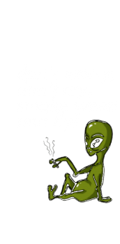 cover smoke weed and fly! 