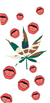 cover cannabis
