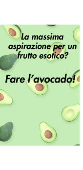 cover Avocado