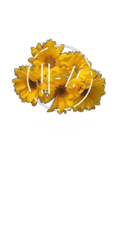 cover 1st twentyone pilots hoodie. 