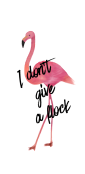 cover I don't give a flock - Flamingo