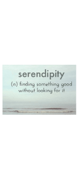 cover serendipity
