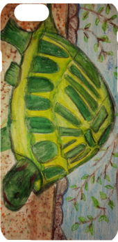 cover tartaruga disegno creato da me