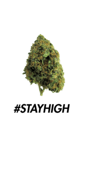 cover #STAYHIGH