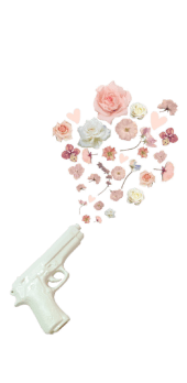 cover Flower gun