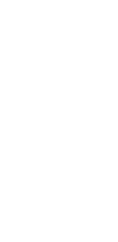 cover Vetements