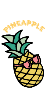 cover PINEAPPLE