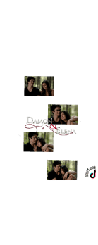 cover Delena 