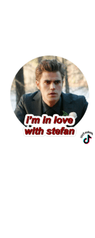 cover stefan salvatore 