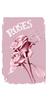 cover PINK ROSES