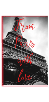 cover from paris with love