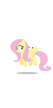 cover FLUTTERSHY