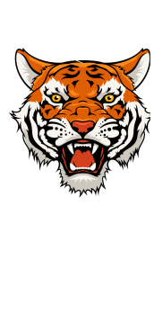 cover tigre