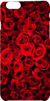 cover Cover Red Roses