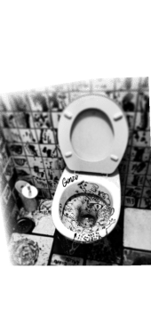 cover wc 