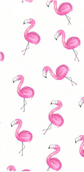 cover flamingos