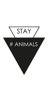 cover STAY ANIMALS 