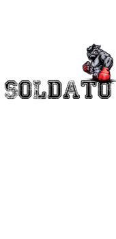 cover soldato