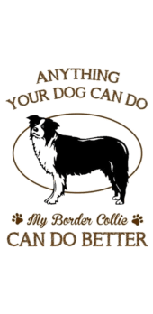 cover Border collie