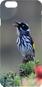 cover new holland honeyeater