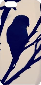 cover bird silhouette 