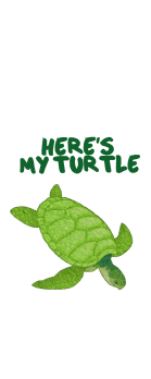 cover tartaruga