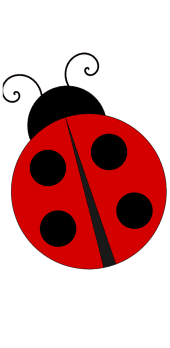 cover coccinella