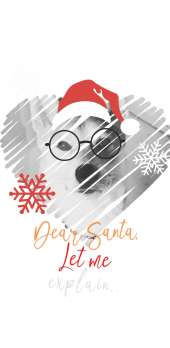 cover Christmas doggo