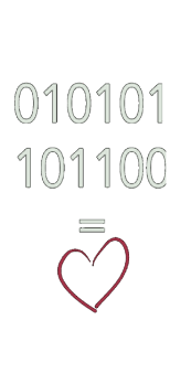 cover Binary Love