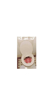 cover t-shit RAW is A NTI