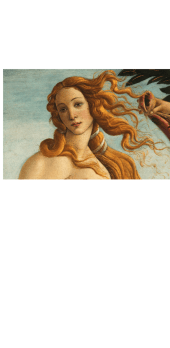 cover venere di botticelli