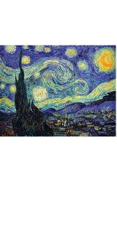 cover van gogh la notte stellata