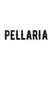 cover #PELLARIA
