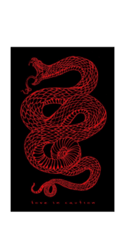 cover cover serpente