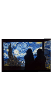 cover Starry Night.