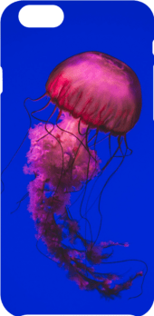 cover medusa