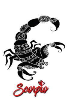maglietta Scorpio - Cover/ Hoodie/T-Shirt