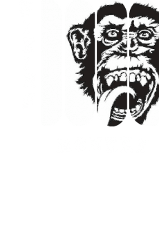 maglietta Viking Monkey 