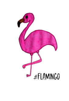 maglietta Flamingo t-shirt