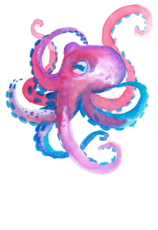 maglietta Octopus