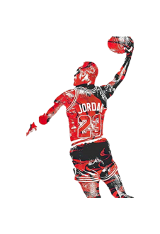 maglietta mj