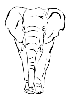 maglietta Elephant