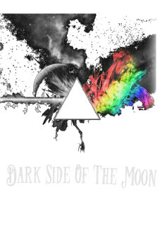 maglietta Dark Side of The Moon!