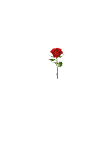 maglietta Maglia-felpa kiss me again